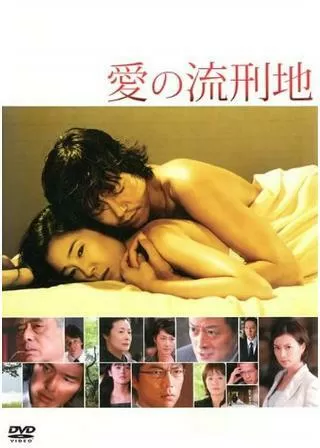 愛の流刑地のポスター