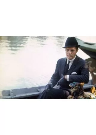 ゴールデン・ハンターのポスター