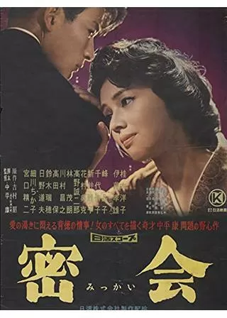 密会のポスター