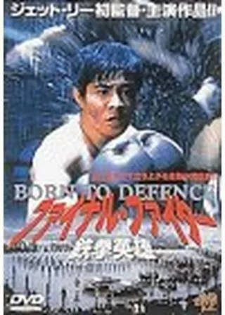 ファイナル・ファイター/鉄拳英雄のポスター