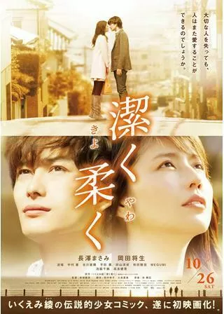 潔く柔くのポスター