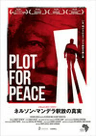 ネルソン・マンデラ釈放の真実のポスター