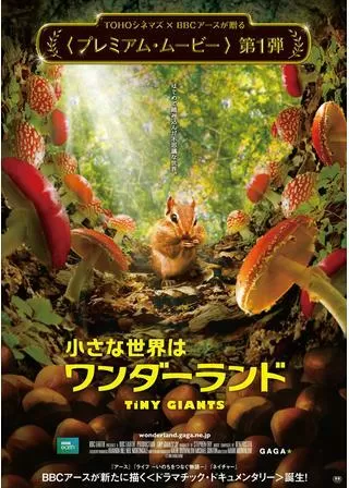 小さな世界はワンダーランドのポスター