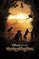 ディズニーネイチャー サルの王国とその掟のポスター