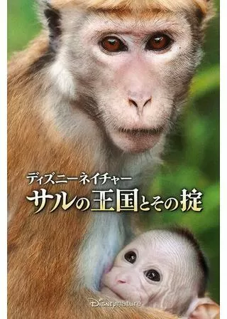 ディズニーネイチャー サルの王国とその掟のポスター