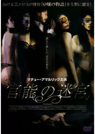 官能の迷宮のポスター