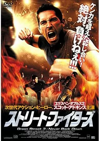 ストリート・ファイターズのポスター