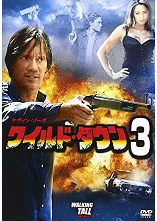 ワイルド・タウン3のポスター