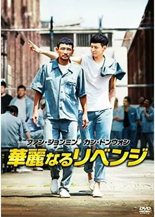 華麗なるリベンジのポスター