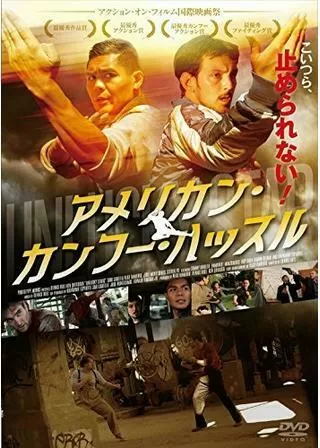 アメリカン・カンフー・ハッスルのポスター