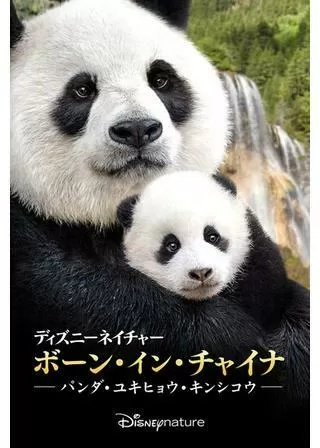 ディズニーネイチャー/ボーン・イン・チャイナ パンダ・ユキヒョウ・キンシコウのポスター