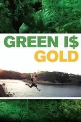 Green is Goldのポスター