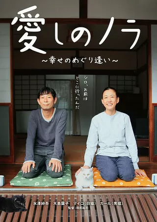 愛しのノラ 幸せのめぐり逢いのポスター