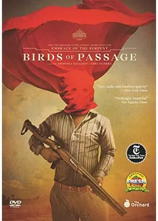 夏の鳥のポスター