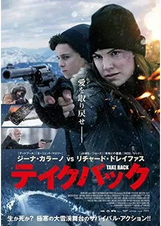 テイクバックのポスター