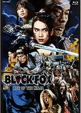 BLACKFOX: Age of the Ninjaのポスター