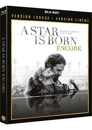 アリー／スター誕生：アンコール・バージョンのポスター