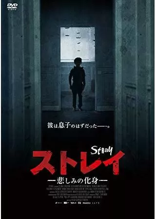 ストレイ 悲しみの化身のポスター