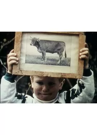 緑の山のポスター