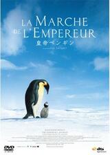 皇帝ペンギンのポスター