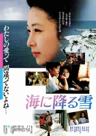 海に降る雪のポスター