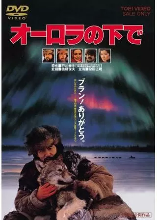 オーロラの下でのポスター