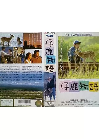 仔鹿物語のポスター