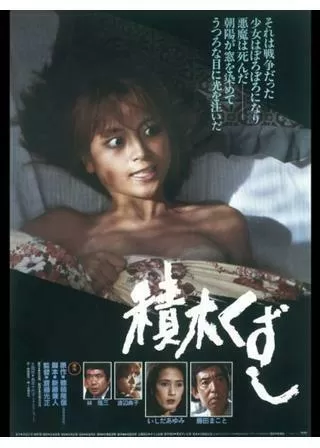 積木くずしのポスター