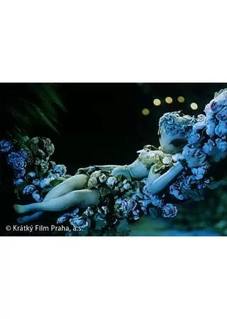 真夏の夜の夢のポスター