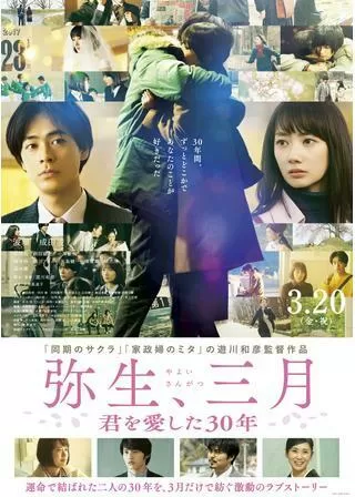 弥生、三月-君を愛した30年-のポスター