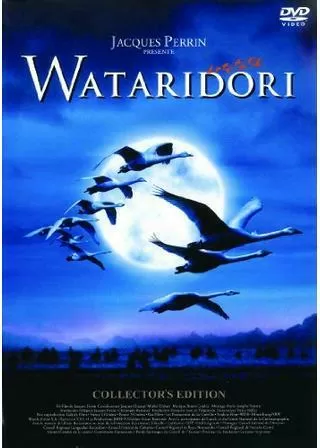 WATARIDORIのポスター