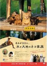 劇場版 岩合光昭の世界ネコ歩き あるがままに、水と大地のネコ家族のポスター