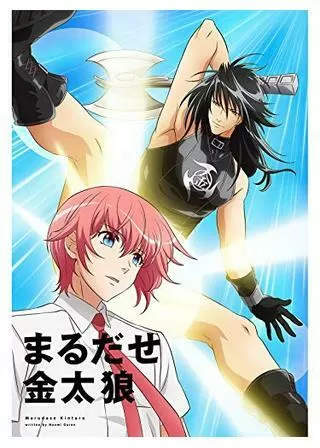 まるだせ金太狼のポスター