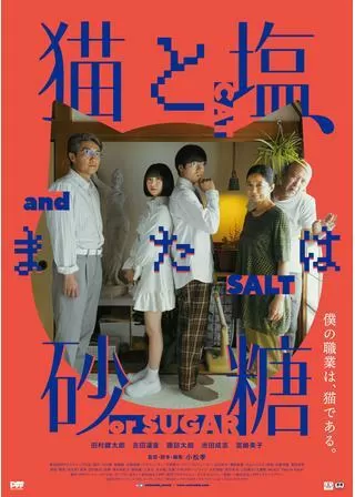 猫と塩、または砂糖のポスター