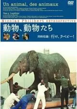 動物、動物たちのポスター