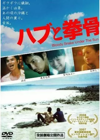 ハブと拳骨のポスター