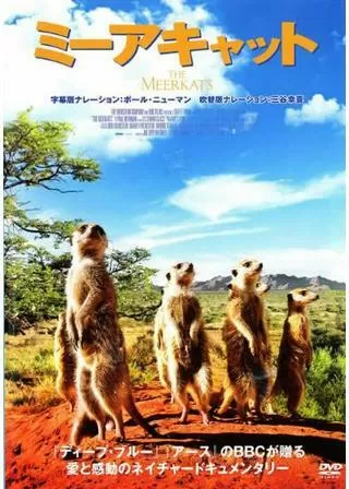 ミーアキャットのポスター
