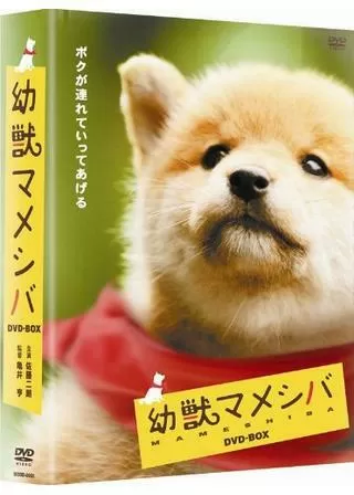 幼獣マメシバのポスター