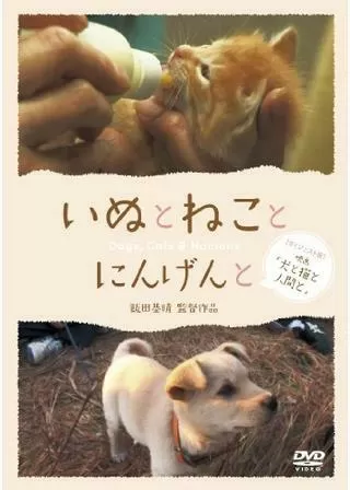 犬と猫と人間とのポスター