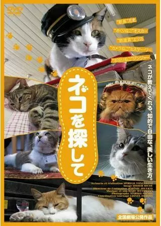 ネコを探してのポスター