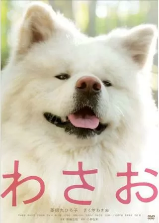 わさおのポスター