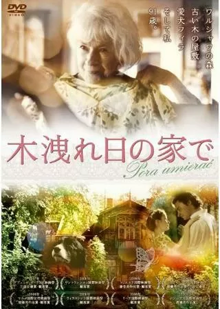 木洩れ日の家でのポスター