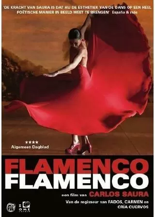 フラメンコ・フラメンコのポスター