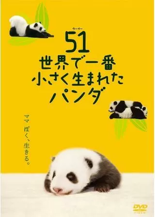 51（ウーイー） 世界で一番小さく生まれたパンダのポスター