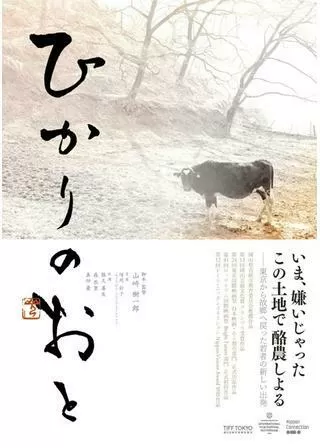 ひかりのおとのポスター