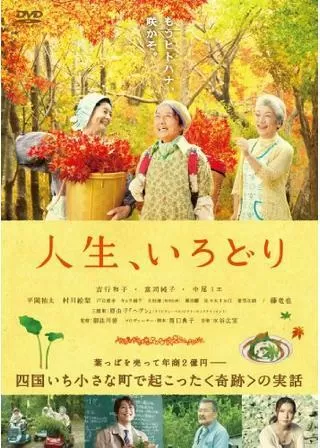 人生、いろどりのポスター