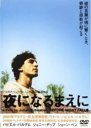 夜になるまえにのポスター