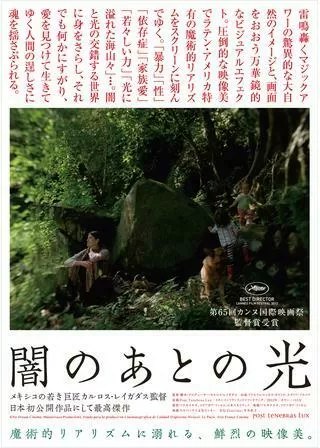闇のあとの光のポスター