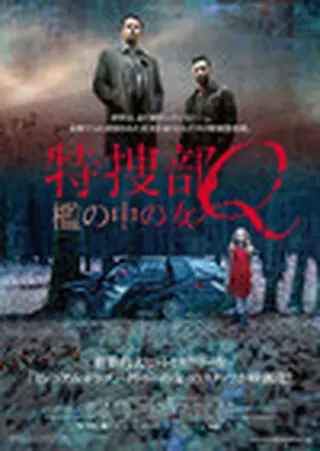 特捜部q Pからのメッセージ 解説 レビュー 評価 映画ポップコーン