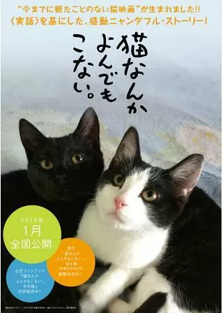 猫なんかよんでもこない。のポスター